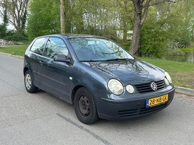 VW Polo