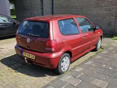 VW Polo