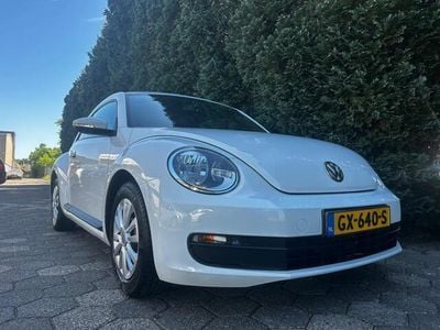 VW Beetle