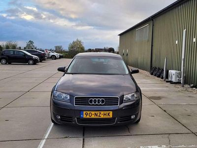 Occasion Audi A3 Ambition 150 PK (110 kW) 2004 Grijs Hatchback