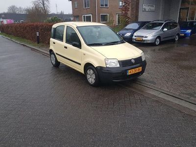 tweedehands Fiat Panda 1.1 Active APK NIEUW