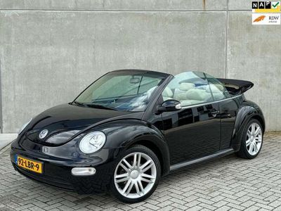 VW Beetle