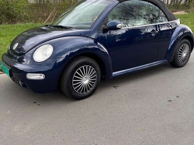 VW Beetle