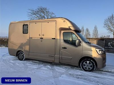 Goud Occasion 2020 Renault Master Van | € 49.995