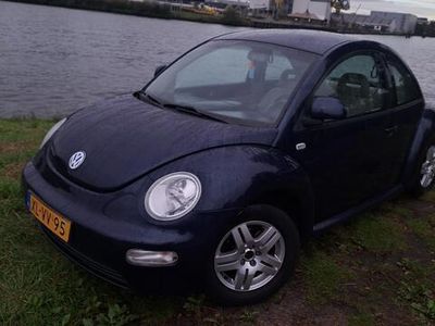 VW Beetle