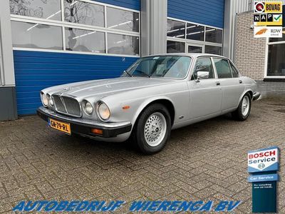 tweedehands Jaguar XJ 4.2 | AUTOMAAT | LEDEREN BEKLEDING | ELEKTR. RAMEN | 1981