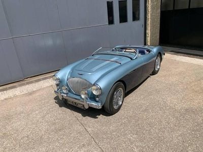 Occasion Austin Healey 100 1954 Anders Cabriolet