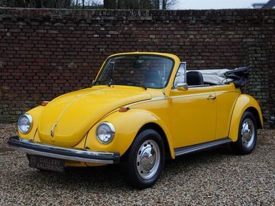 tweedehands VW Beetle (NEW) Kever 1303 Cabriolet An eye-catching paint scheme - Canary Yellow over black interior, The underwent a restoration around 2014-2015, The 1303 features the enlarged 'elephant foot' rear lights and a wraparound windscreen,