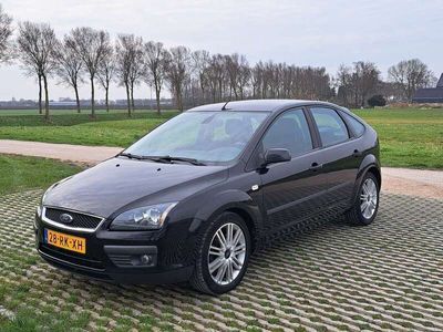 tweedehands Ford Focus 1.6-16V First Edition