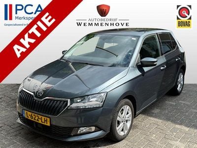Grijs Gebruikt 2021 Skoda Fabia Ambition Hatchback | € 10.495 (Goede deal)