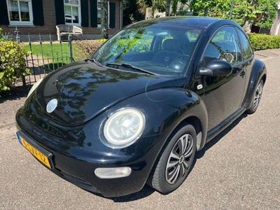 VW Beetle