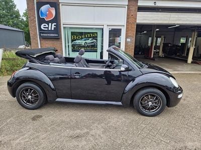 VW Beetle