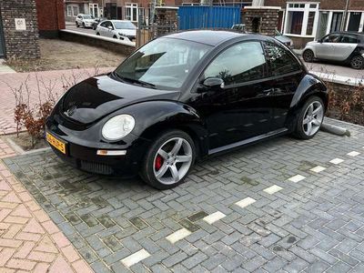 VW Beetle