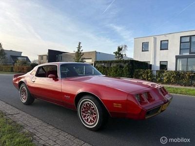 Rood Gebruikt 1980 Pontiac Firebird Coupé | € 17.950