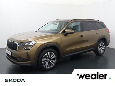 Bruin Occasion 2024 Skoda Kodiaq Tour SUV | € 38.840 (Goede deal)