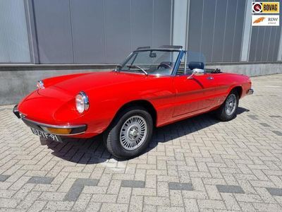 Occasion Alfa Romeo Spider 118 PK (86 kW) 1978 Rood Cabriolet