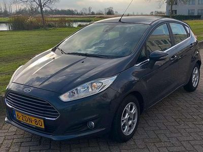 Grijs Gebruikt 2014 Ford Fiesta Hatchback | € 4.000 (Eerlijke prijs)