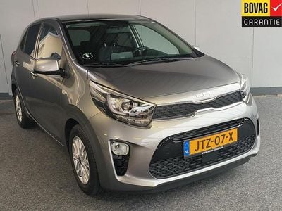 Grijs Occasion 2026 Kia Picanto Comfort Hatchback | € 16.950 (Eerlijke prijs)