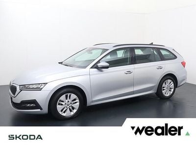 Grijs Occasion 2023 Skoda Octavia Ambition Stationwagen | € 21.640 (Eerlijke prijs)