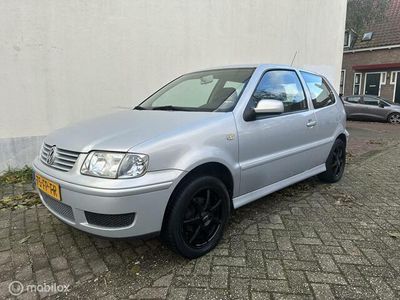 VW Polo