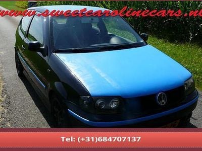 VW Polo