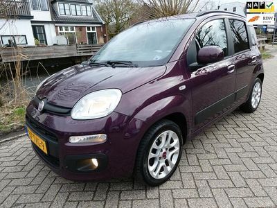 Occasion Fiat Panda Lounge 86 PK (63 kW) 2012 Paars Hatchback