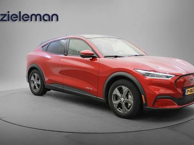 Rood Occasion 2022 Ford Mustang SUV | € 21.845