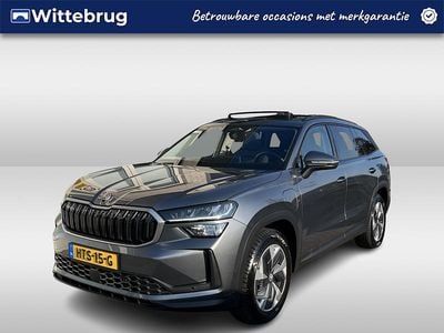 Occasion Skoda Kodiaq Business Line 204 PK (150 kW) 2025 Grijs SUV