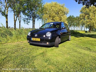 VW Lupo