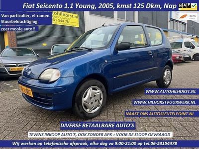 tweedehands Fiat Seicento 1.1 Young, Zeer mooie nette auto, nap-pas, nw banden, enz