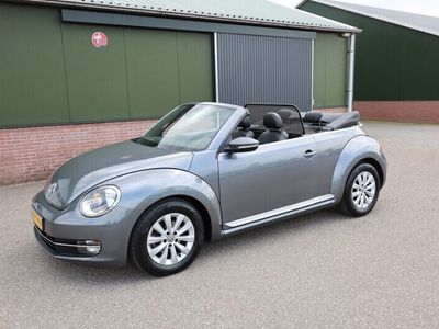 VW Beetle