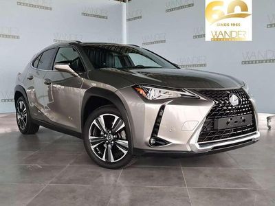 Occasion Lexus UX 250h 152 PK (111 kW) 2022 Grijs SUV