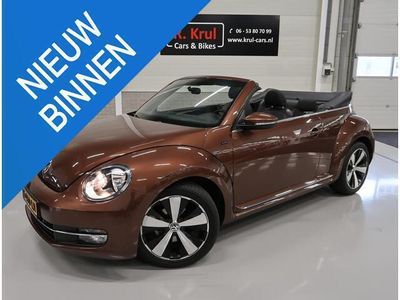 VW Beetle