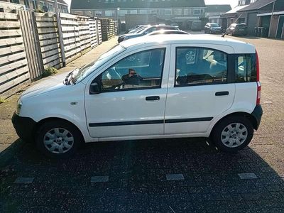 Wit Occasion 2009 Fiat Panda MPV | € 1.900 (Eerlijke prijs)