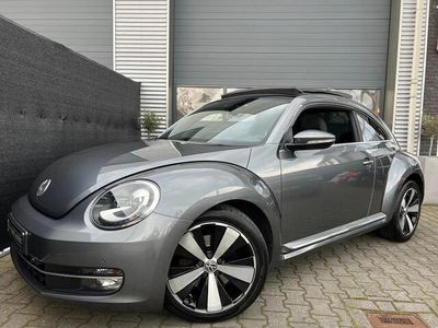 VW Beetle