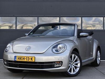 VW Beetle