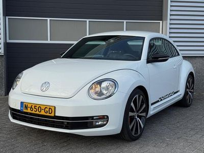 VW Beetle