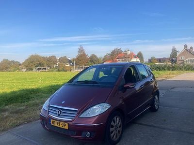 Rood Gebruikt 2005 Mercedes A170 Elegance MPV | € 1.850 (Eerlijke prijs)