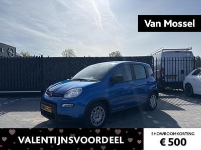 Occasion Fiat Panda 69 PK (50 kW) 2025 Blauw Hatchback