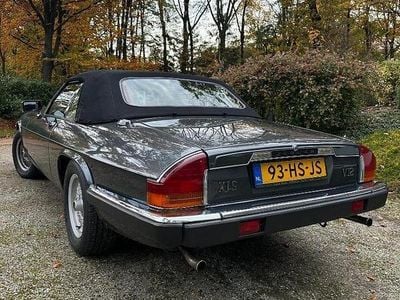 Gebruikt 1990 Jaguar XJS Cabriolet | € 17.950