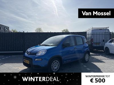 Blauw Occasion 2025 Fiat Panda Hatchback | € 20.695 (Iets duurder)
