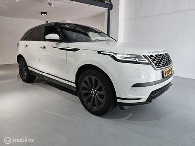 tweedehands Land Rover Range Rover Velar 2.0 P250 S Turbo AWD