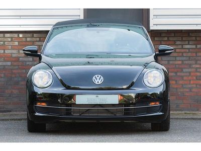 VW Beetle