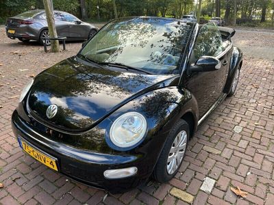 tweedehands VW Beetle Cabriolet 1.6 AIRCO/NETTE ONDERHOUD