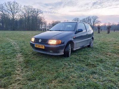 Occasion 1999 VW Polo | € 800 (Eerlijke prijs)