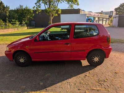 VW Polo