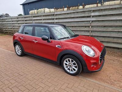 Occasion Mini Cooper Business 136 PK (100 kW) 2017 Rood Hatchback