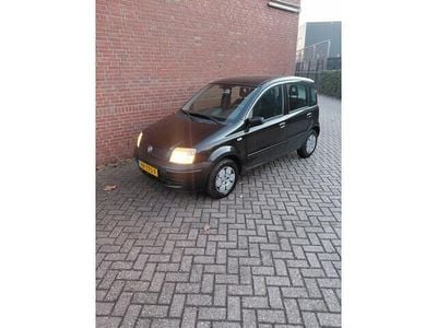 Occasion Fiat Panda Active 54 PK (39 kW) 2009 Zwart Hatchback