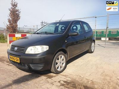 tweedehands Fiat Punto 1.2 Young