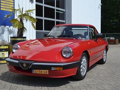 Rood Gebruikt 1987 Alfa Romeo Spider Quadrifoglio Verde Cabriolet | € 19.950